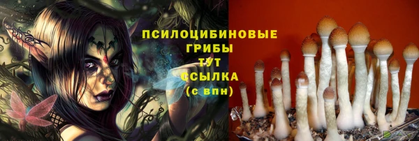 экстази Алзамай