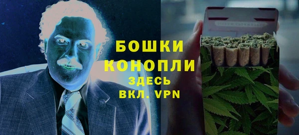 гашик Алексеевка